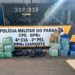 PRE apreende mais de 200 kg de droga na PR-323; carga está avaliada em R$ 700 mil