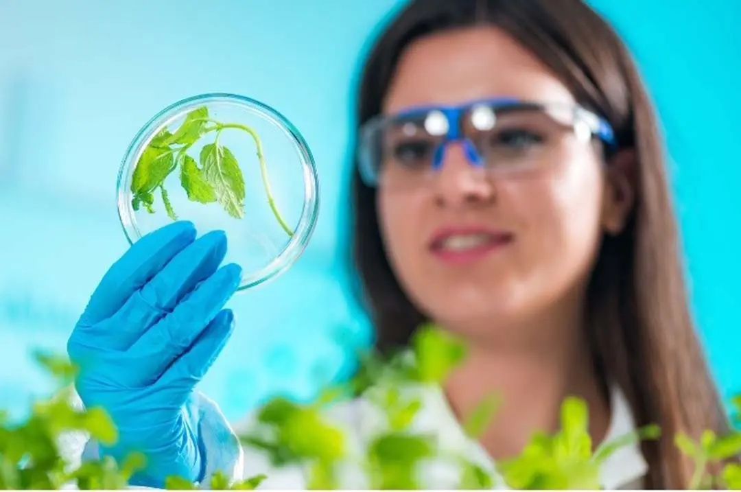 Professor de Anestesiologia desmistifica o procedimento