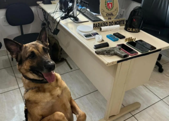 Polícia Civil apreende pistola, celulares e maconha durante operação