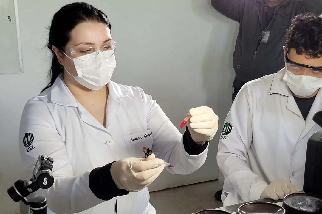Produto desenvolvido na UEL determina o tipo sanguíneo em menos de dois minutos