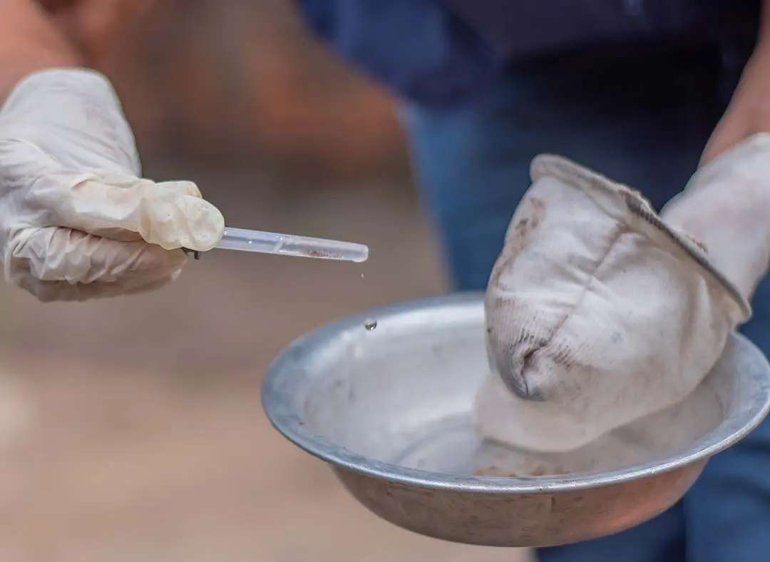 Secretaria de Saúde atualiza os números da dengue