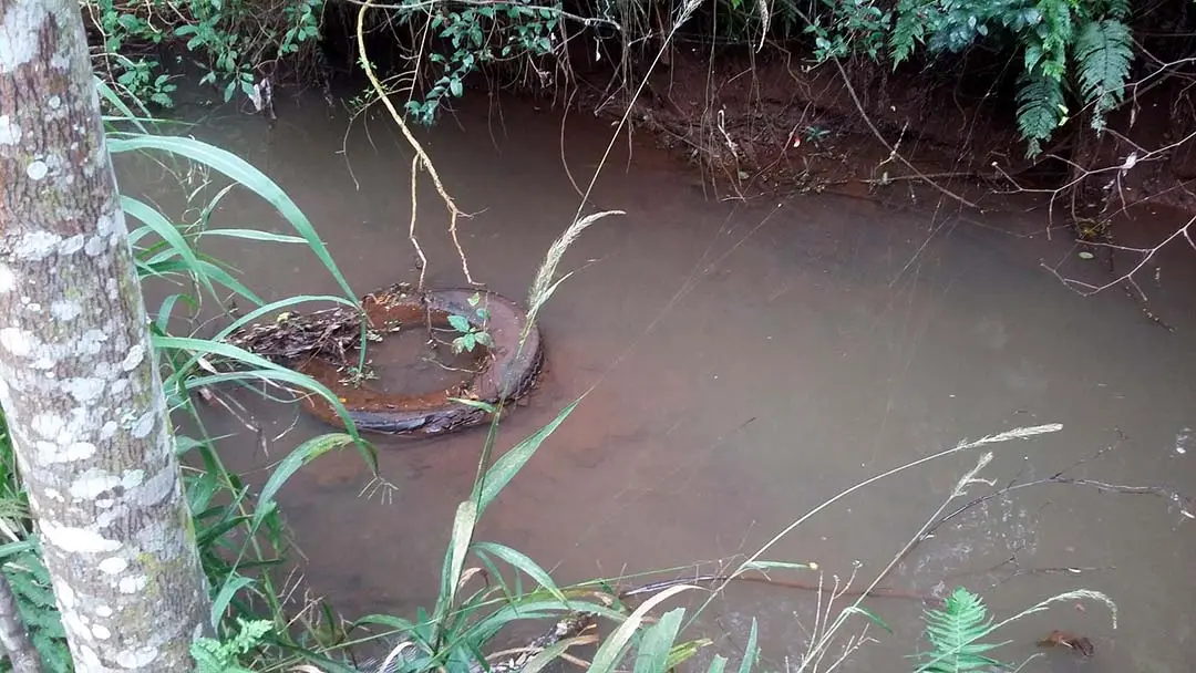 Sesc Paranavaí promove mutirão de limpeza no Ribeirão Paranavaí