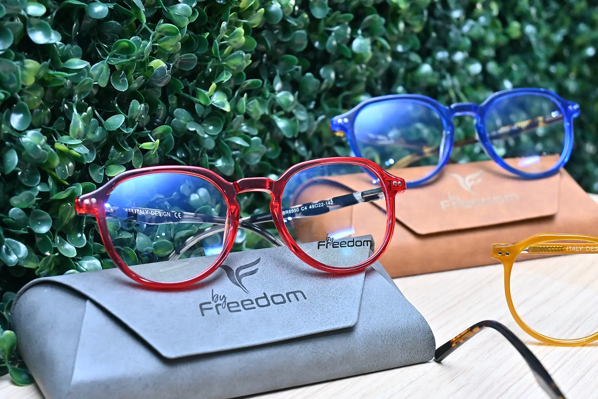 Óticas Ética são representantes exclusivos da By Freedom em Paranavaí