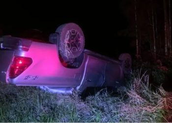 Motorista desvia de boi solto na pista e capota carro na PR-561