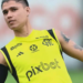 Luiz Araújo treina e é novidade no Flamengo para a final