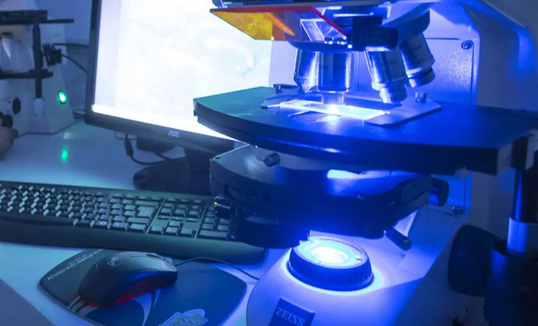 Pesquisadores estão entre os mais influentes do mundo