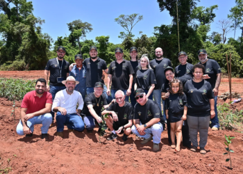 Grupo Moura & Costa dá início ao plantio de laranja no noroeste do Paraná