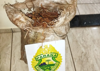 Homem é preso por furtar 12 quilos de fios de cobre