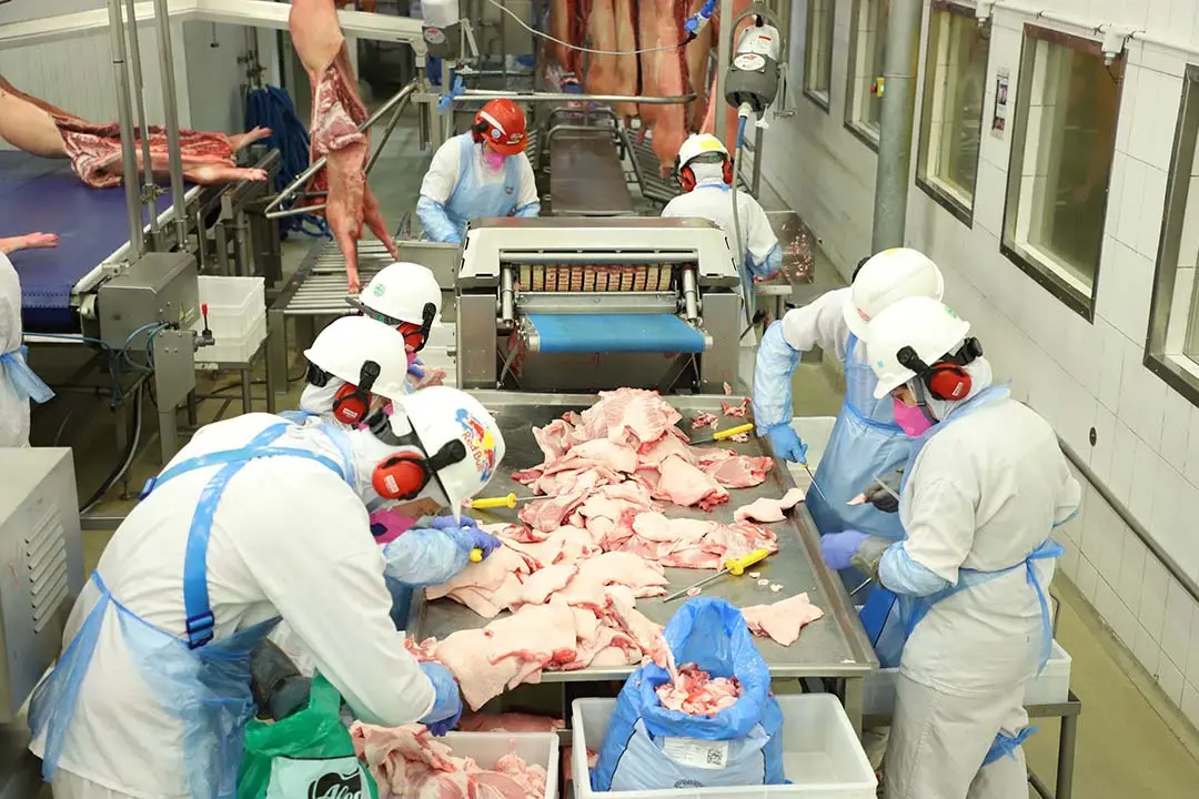 Paraná bateu recorde em exportação de carne suína em setembro