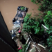 Carro capota e cai dentro de rio entre Cianorte e Terra Boa; uma pessoa morreu 