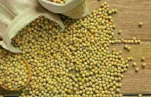 Saca de 60 quilos de soja passou a ser negociada a R$ 135,66, no interior do Paraná