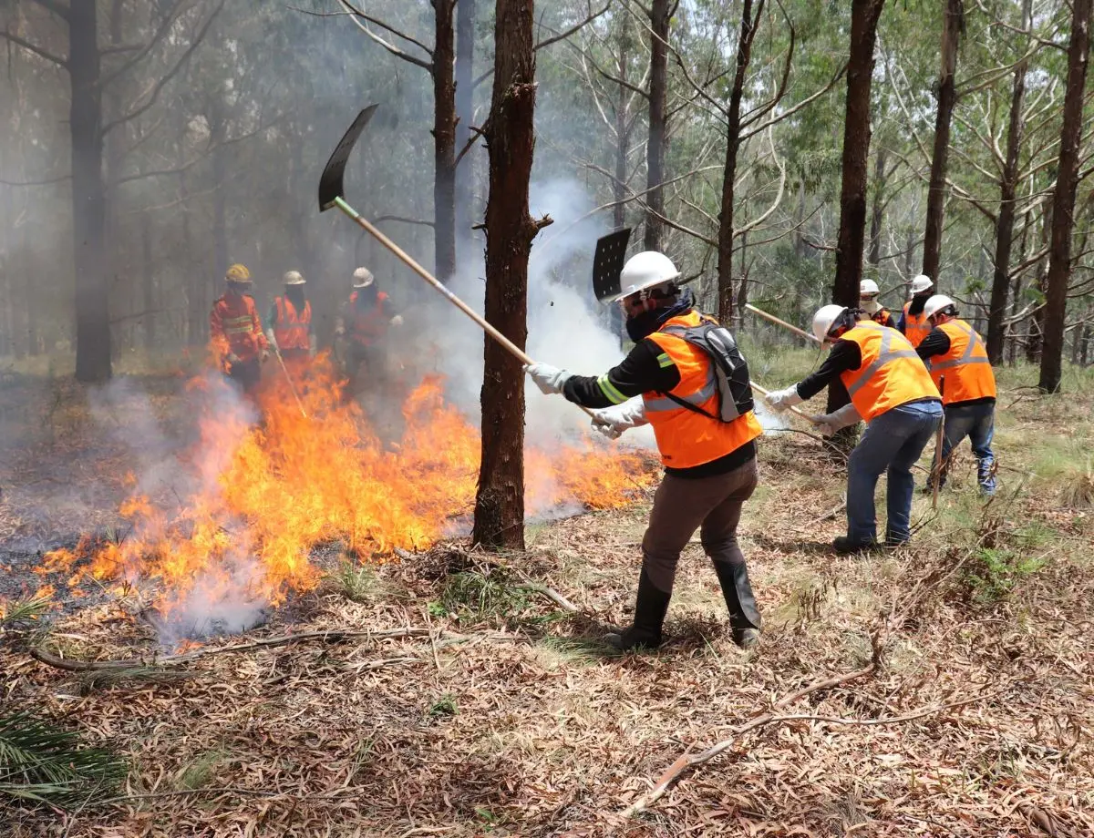 Voluntários podem se inscrever para curso de brigadista florestal