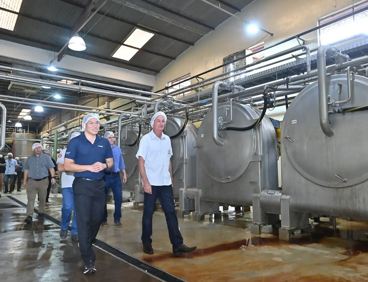 Em Paranavaí, indústrias do Brasil e da Tailândia buscam parcerias para fortalecer o mercado da mandioca