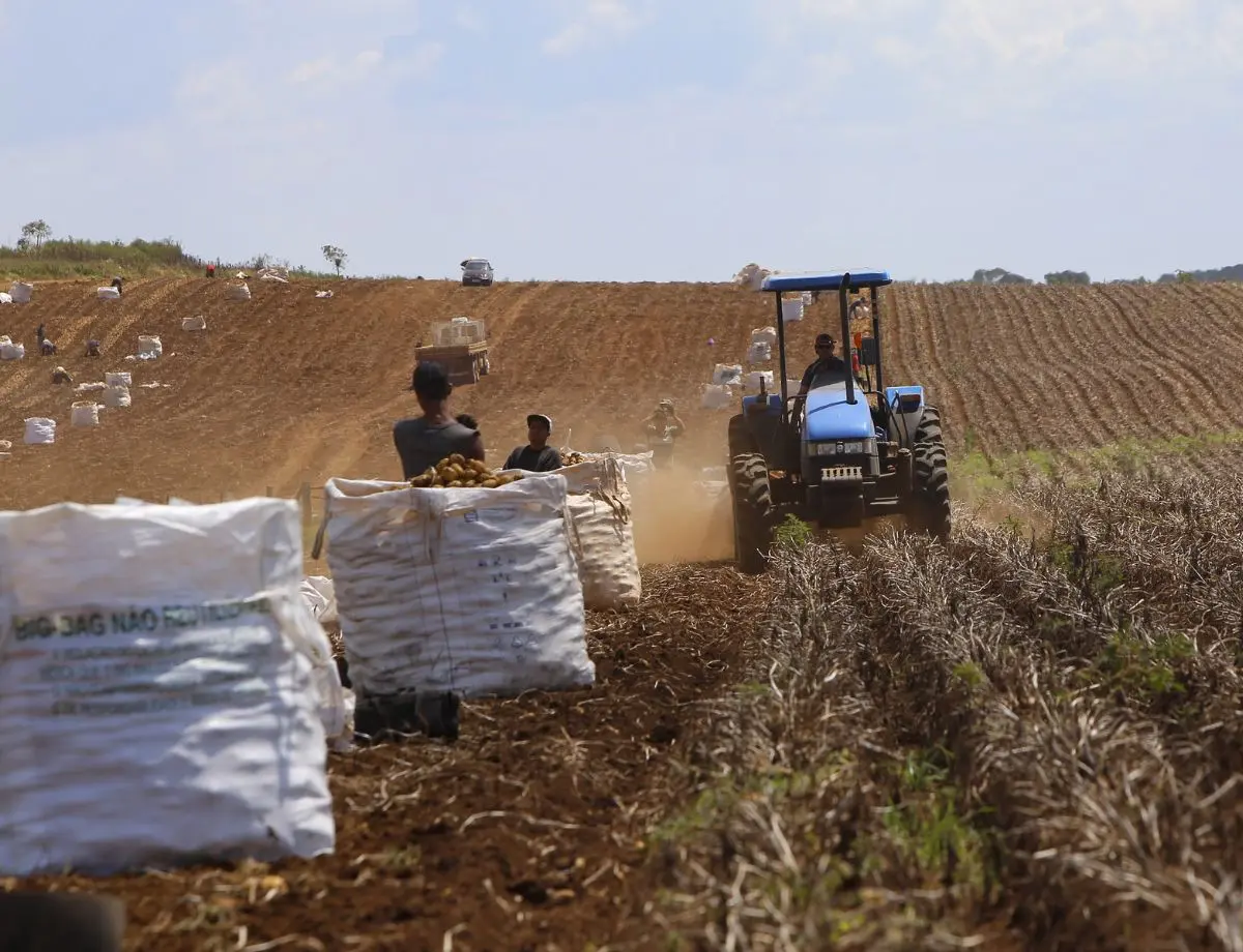 Adesão obrigatória da nota fiscal eletrônica do produtor rural é prorrogada para julho