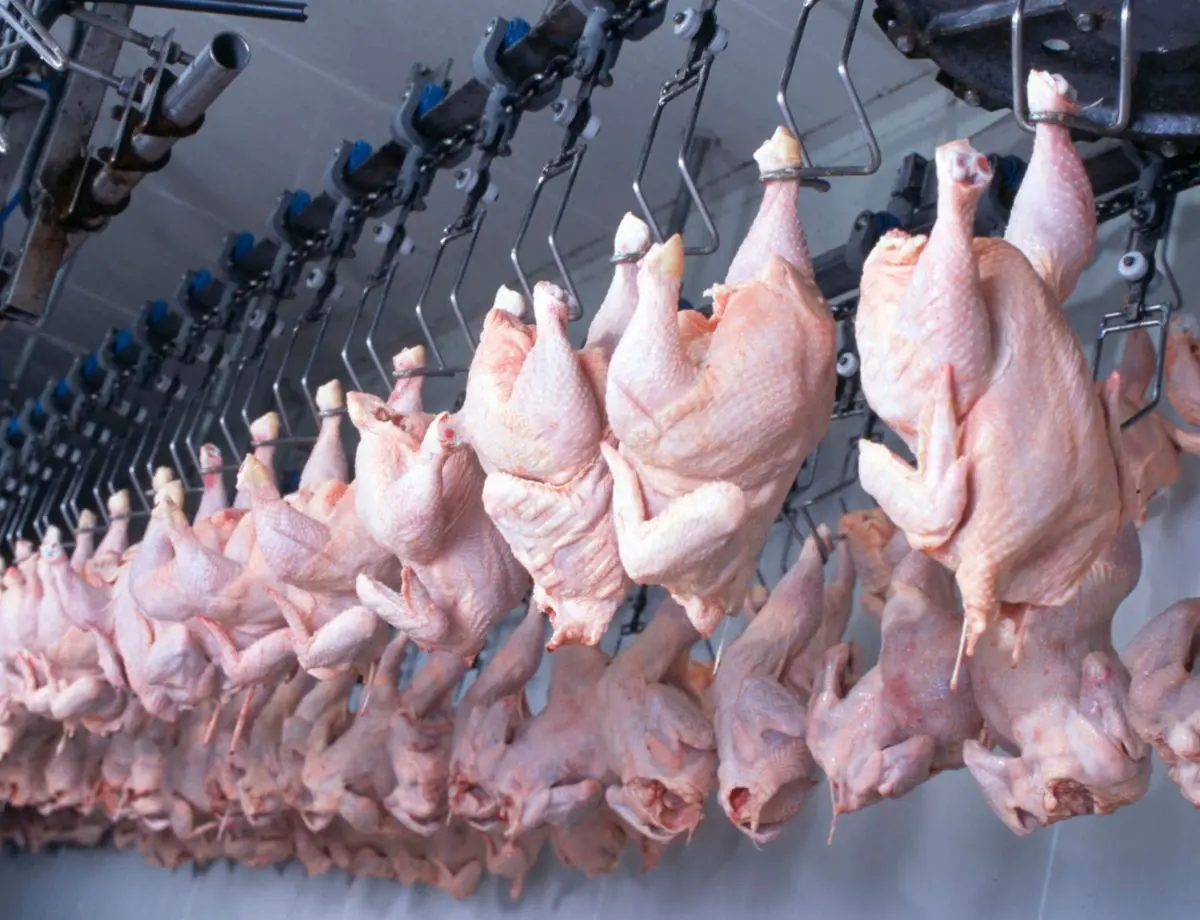 Com 5º melhor resultado de exportações em 2024, Paraná tem superávit de US$ 3,7 bilhões