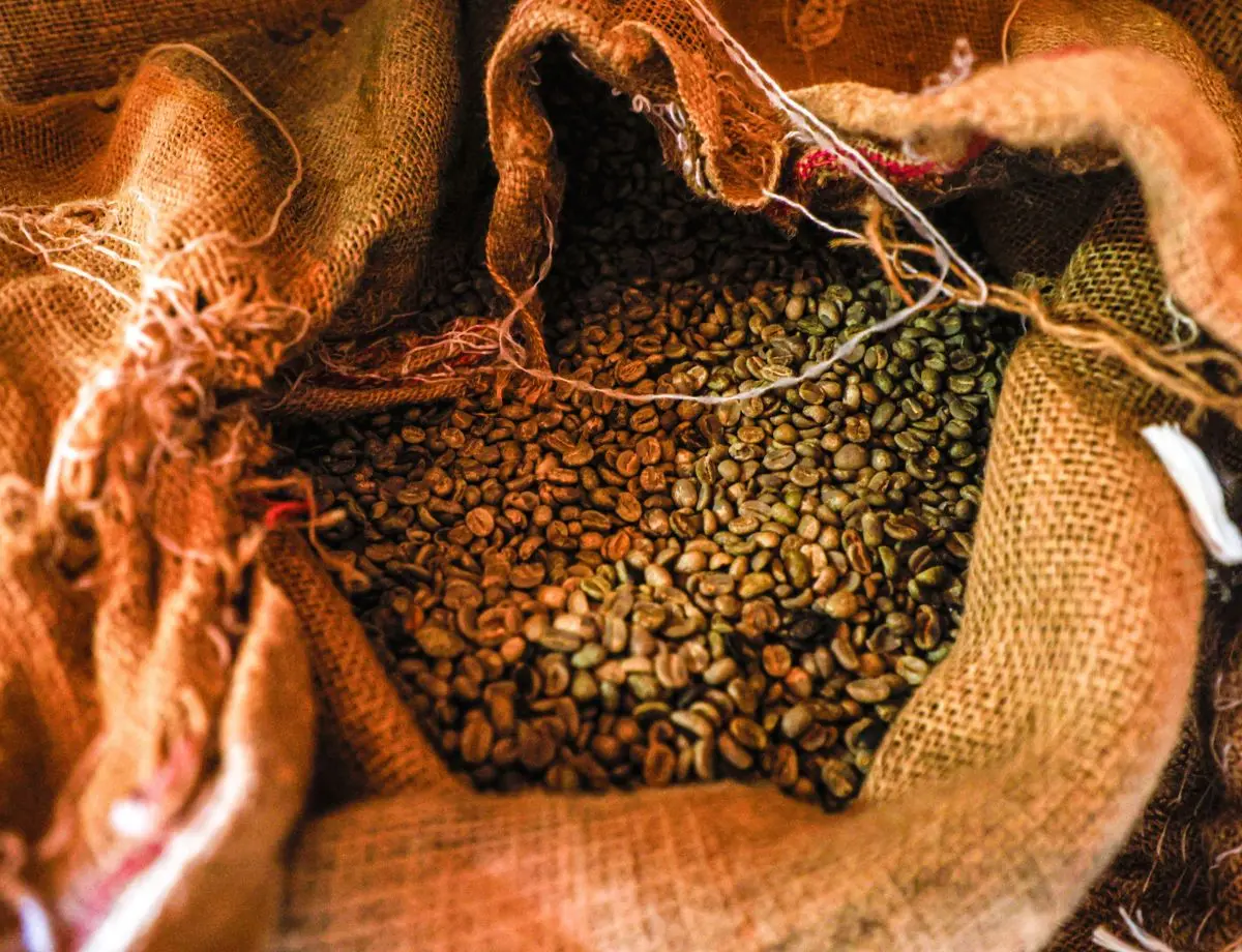Brasil bate recorde de exportação de café com 50 milhões de sacas em 2024