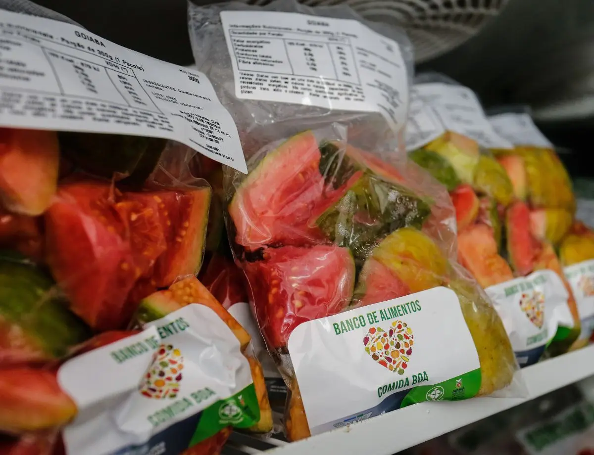 Banco de Alimentos atinge marca histórica com 7,5 mil toneladas doadas em 2024
