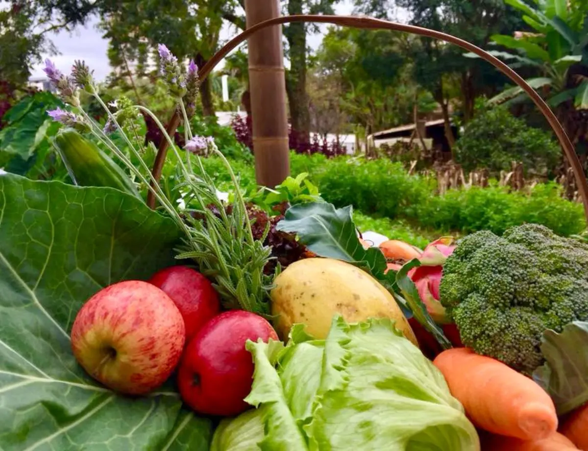Paraná chega a 319 municípios no Sistema de Segurança Alimentar