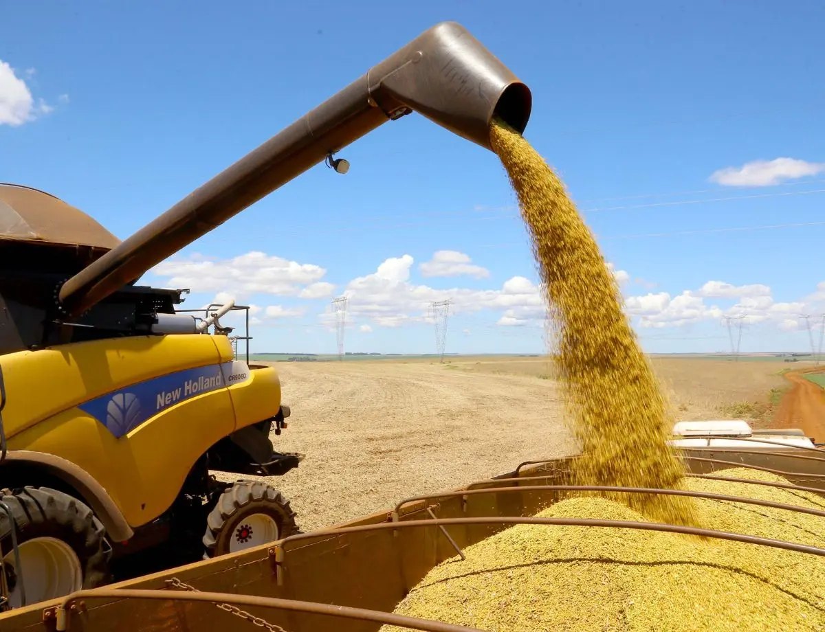 Conab disponibiliza calendário 2025 de levantamentos das safras agrícolas