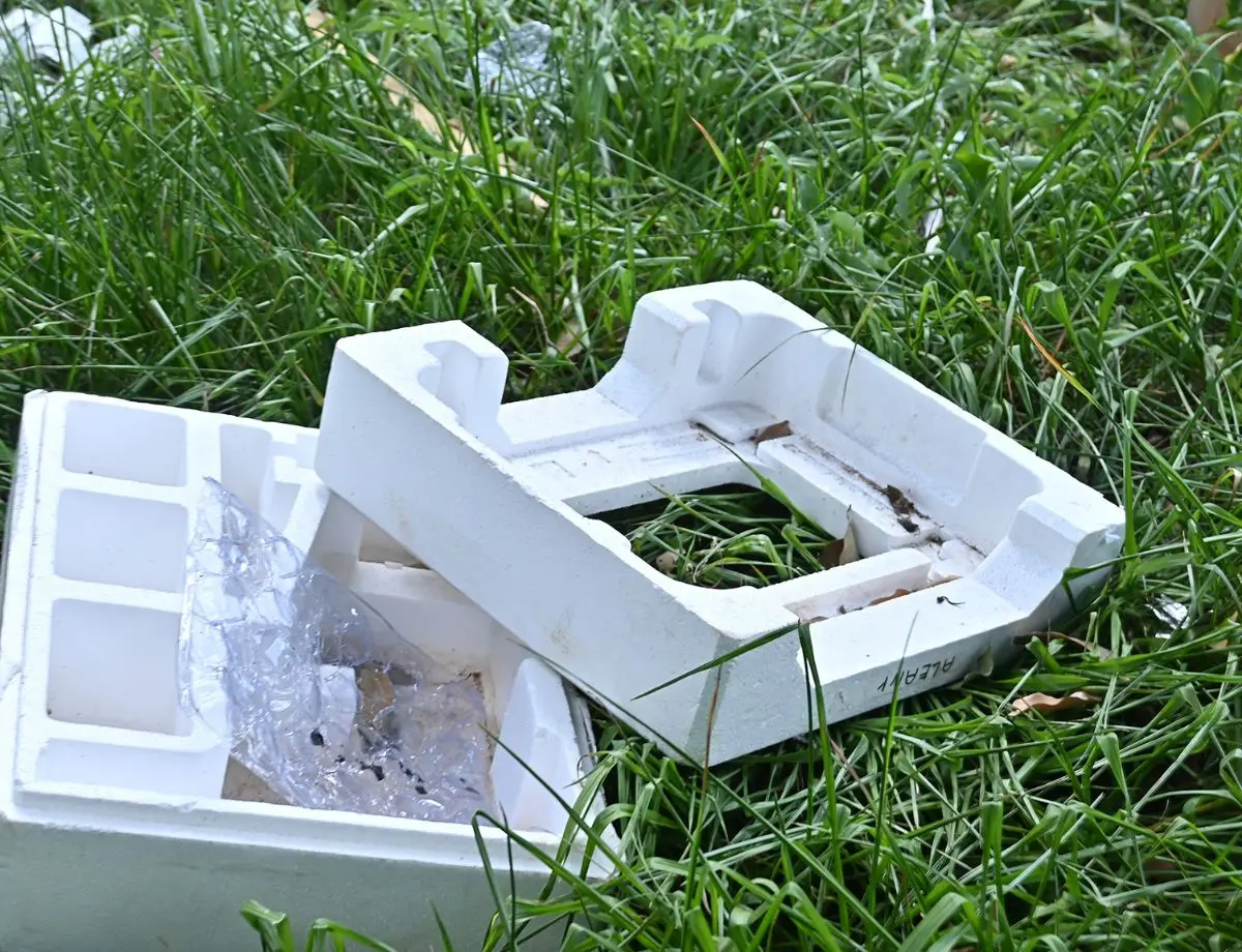 Com a circulação do sorotipo 3 da dengue, Paraná alerta para casos e cuidados