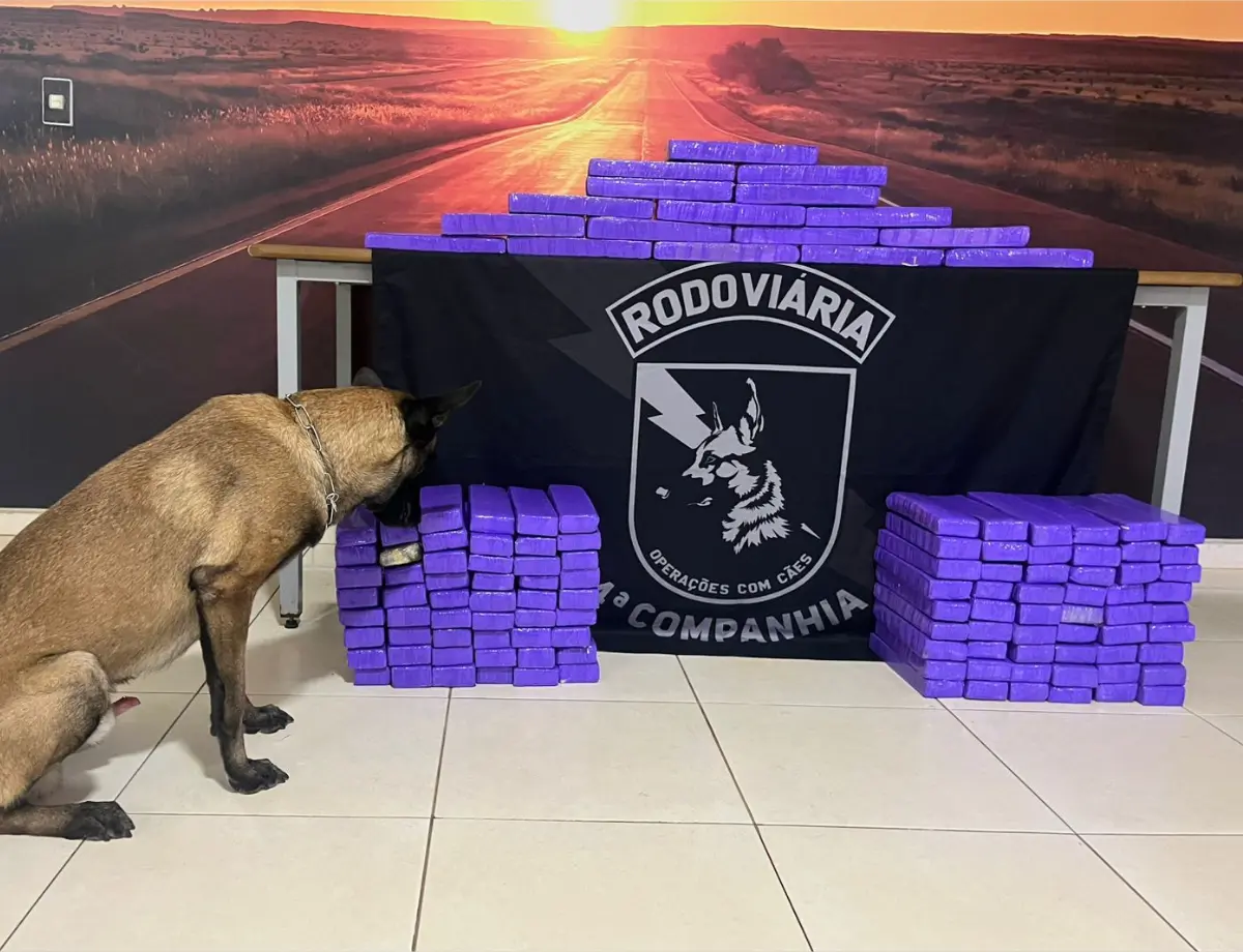 Polícia Rodoviária Estadual apreende 83 quilos de maconha em Doutor Camargo