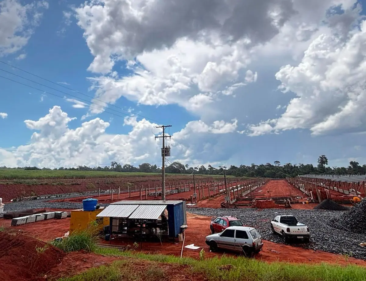 Paranavaí se torna referência no Brasil para matrizes agrícolas