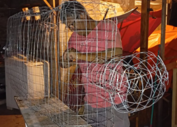 Boneco gigante feito com materiais recicláveis será destaque no Carna Porto