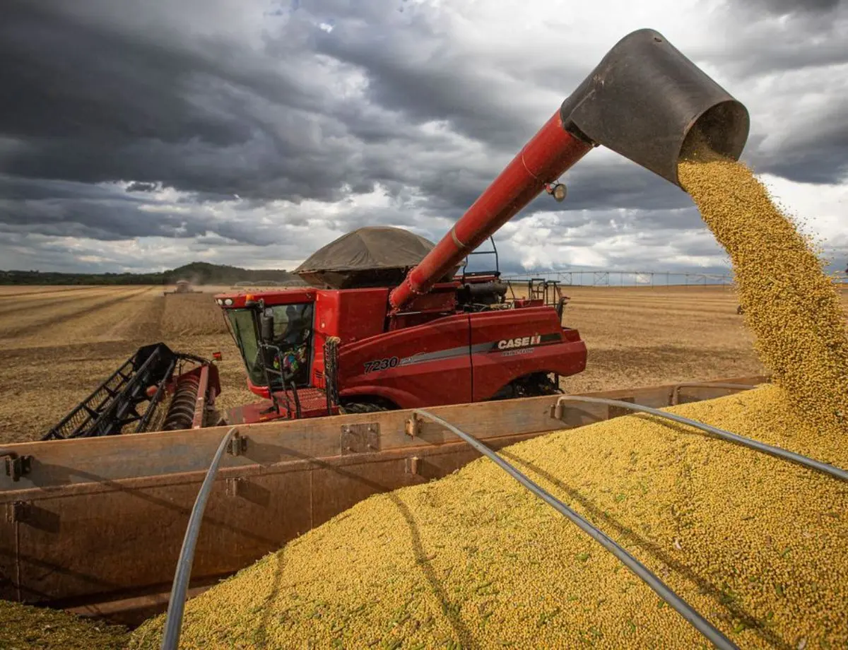 Safra 2025 pode ser 11,1% maior que a do ano passado, diz IBGE