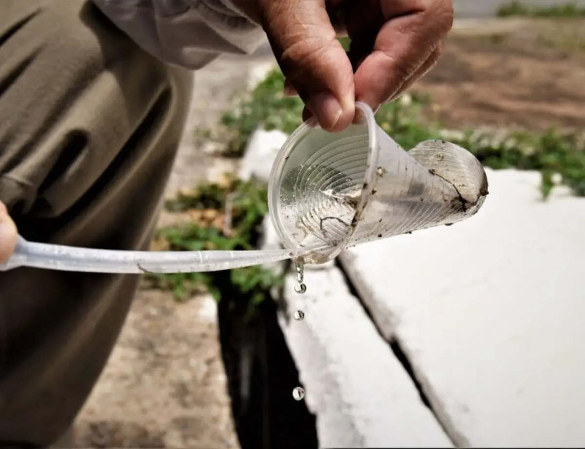 Regional de Paranavaí lidera número de casos de dengue no Paraná