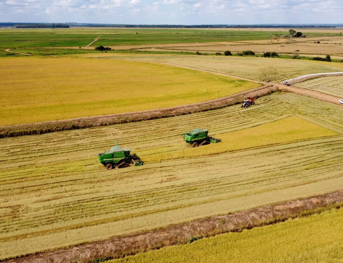 Sistema Faep pede ampliação do Desenrola Rural a todos os produtores
