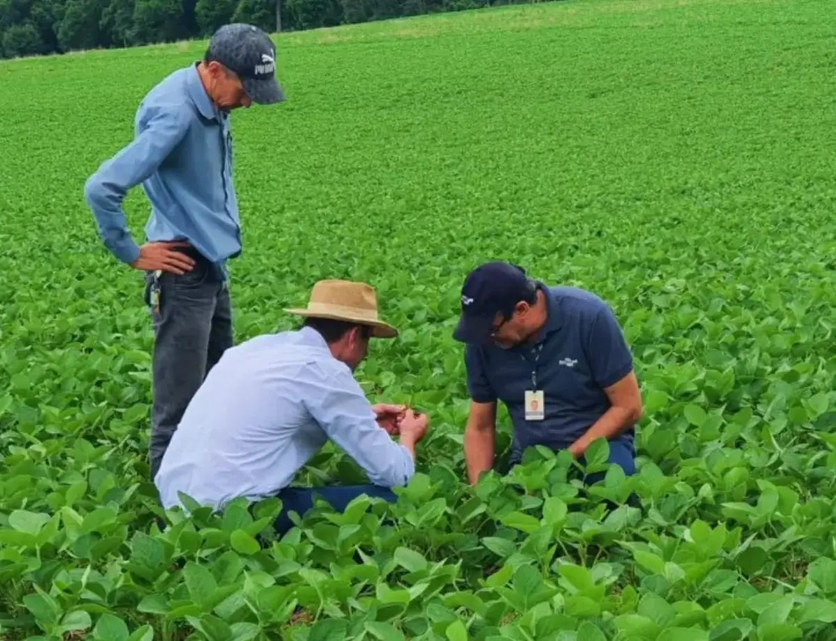 Concurso para o IDR-Paraná disponibiliza 422 vagas