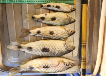 Dupla é presa em flagrante e multada em quase R$ 10 mil por pescar durante a piracema