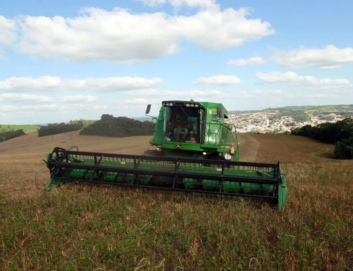 Paraná lidera produção e importação de feijão, e começa a expandir exportação do produto