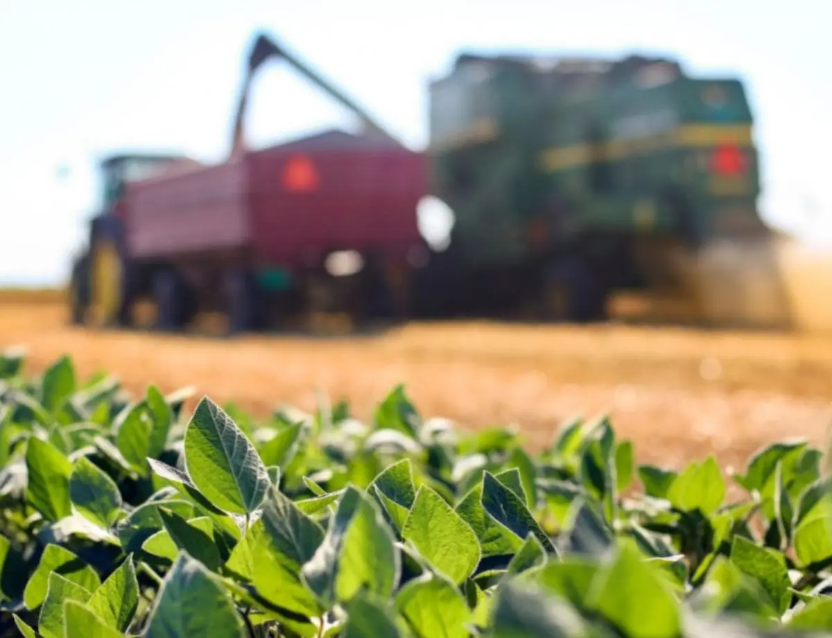 Agronegócio deve puxar a economia e fazer PIB crescer 2,3%, diz Fazenda