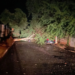 Forte temporal derruba árvores, destelha casas e deixa ruas interditadas em Nova Londrina