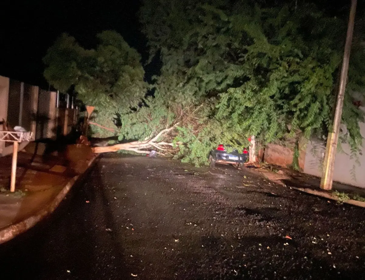 Forte temporal derruba árvores, destelha casas e deixa ruas interditadas em Nova Londrina