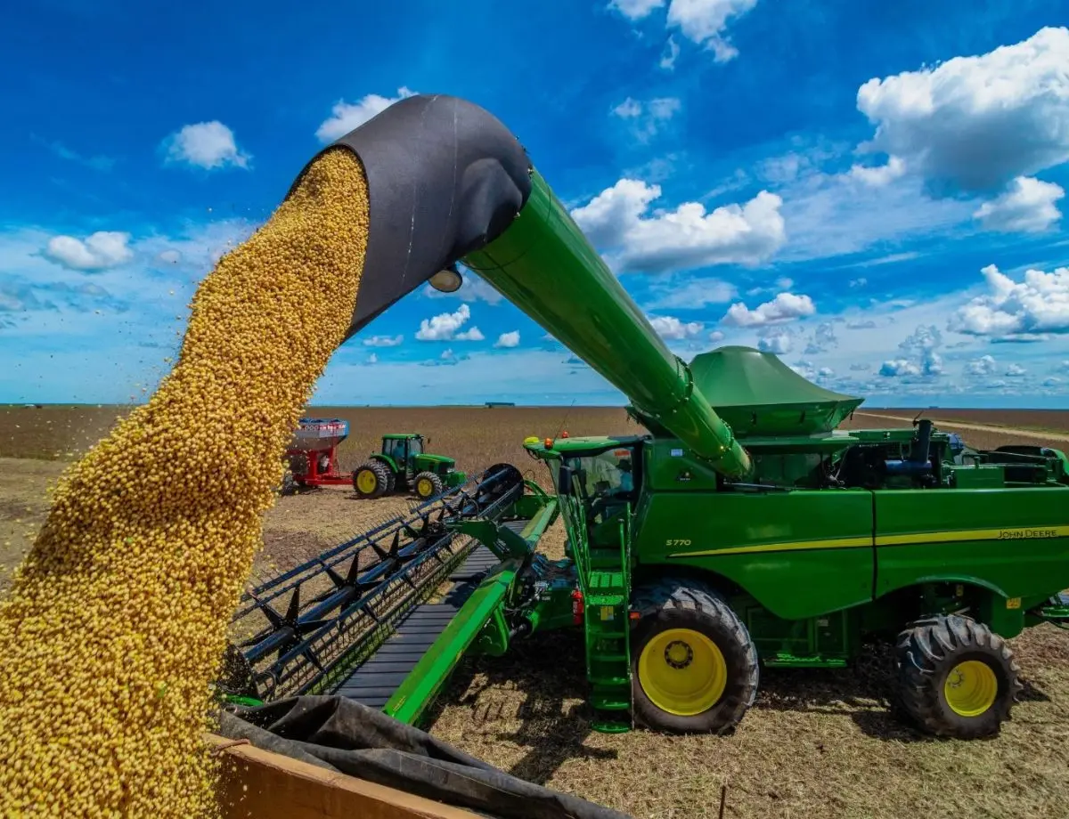 Produção de grãos na safra 2024/25 é de 328,3 milhões de toneladas, aponta Conab