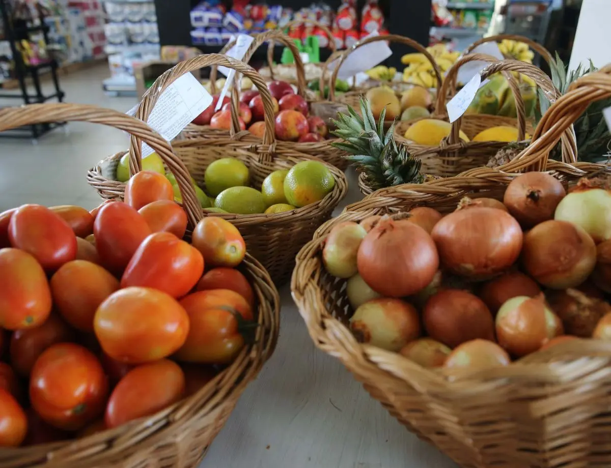 Divulgada pontuação dos projetos apresentados