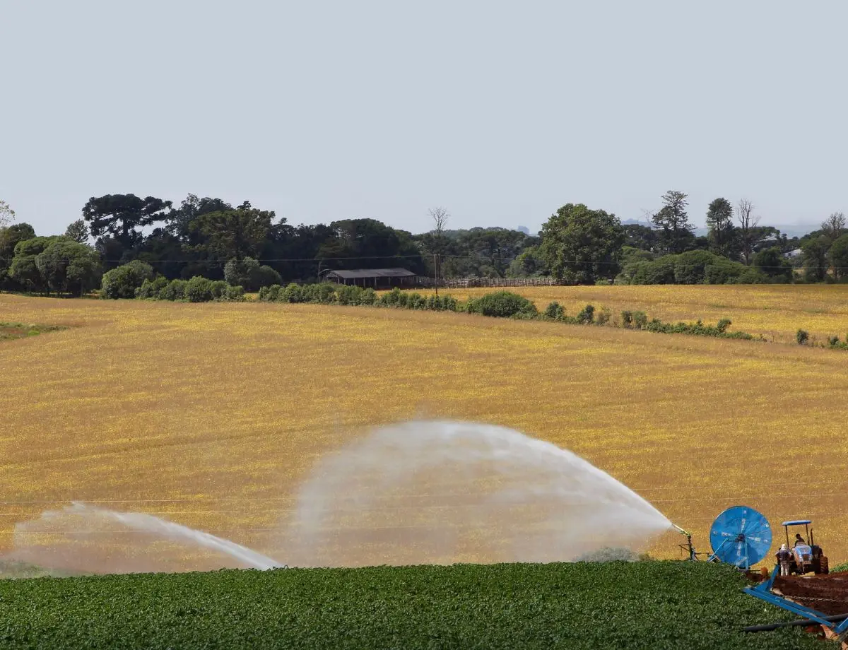 Em Paranavaí, MIDR promove oficina para consolidar o polo regional de agricultura irrigada