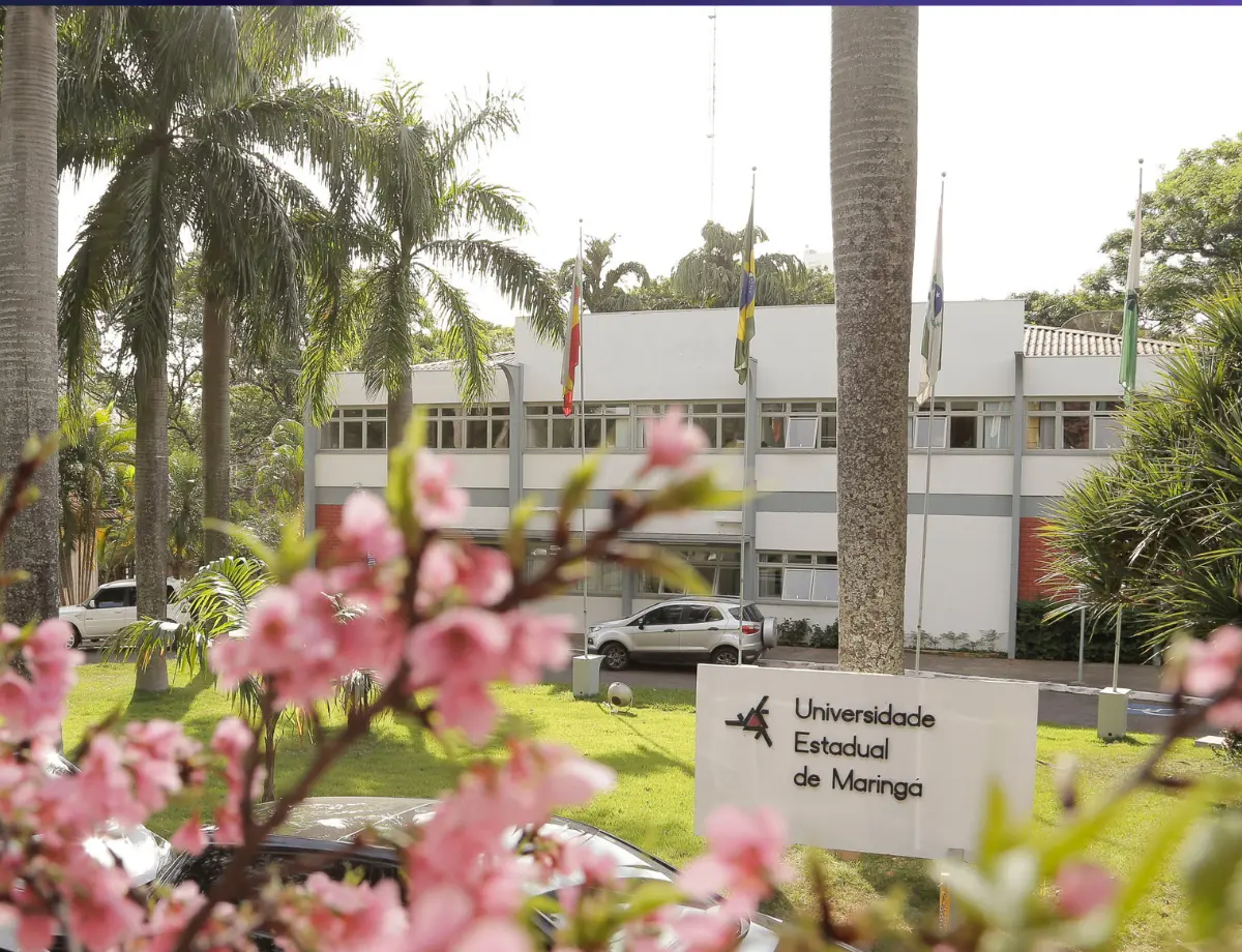 De instrutor de língua japonesa a contador: UEM vai contratar 18 servidores temporários