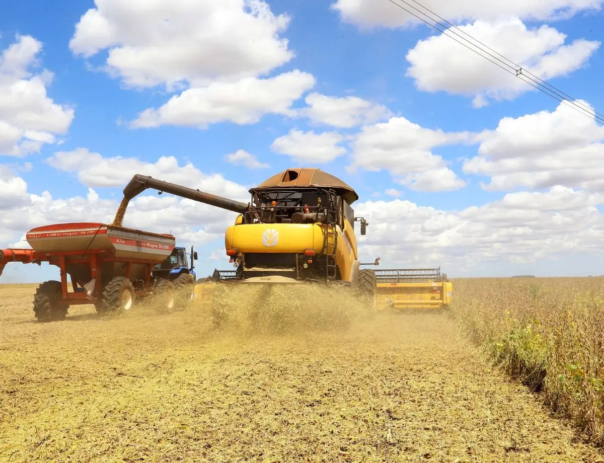 PIB do agronegócio alcança R$ 2,7 trilhões e fecha 2024 com crescimento