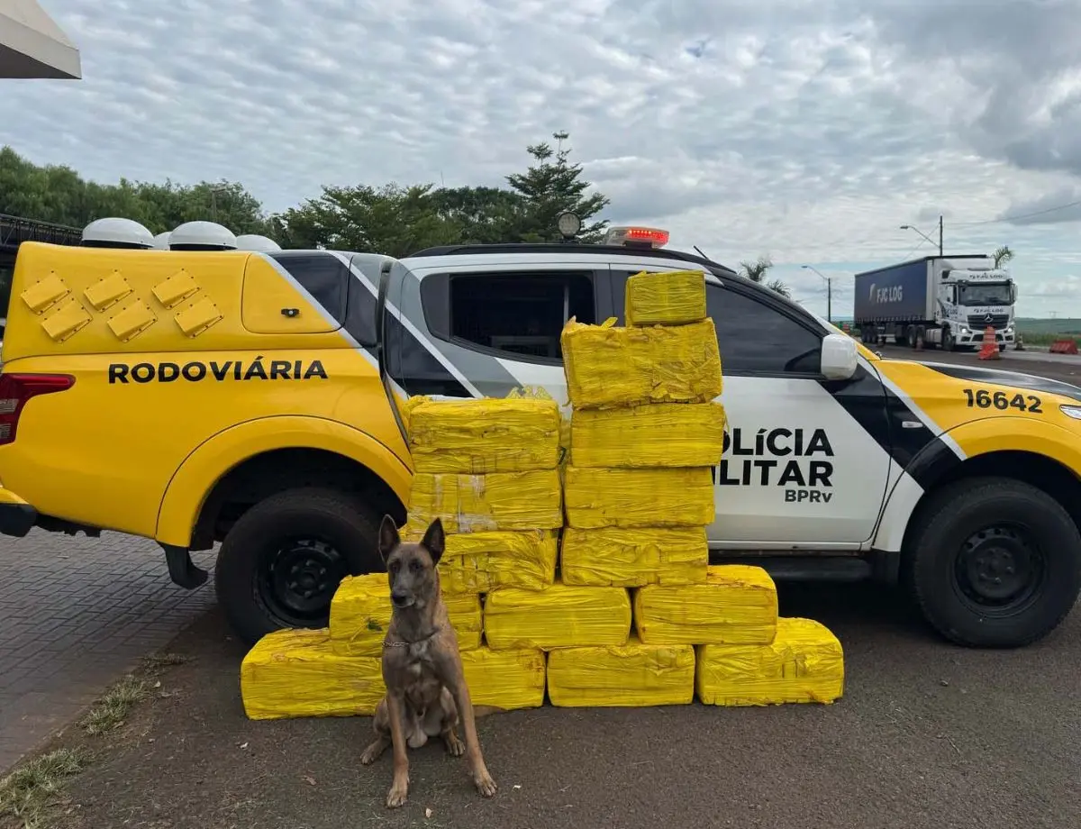 Policiais encontram grandes quantidades de drogas em três ações distintas