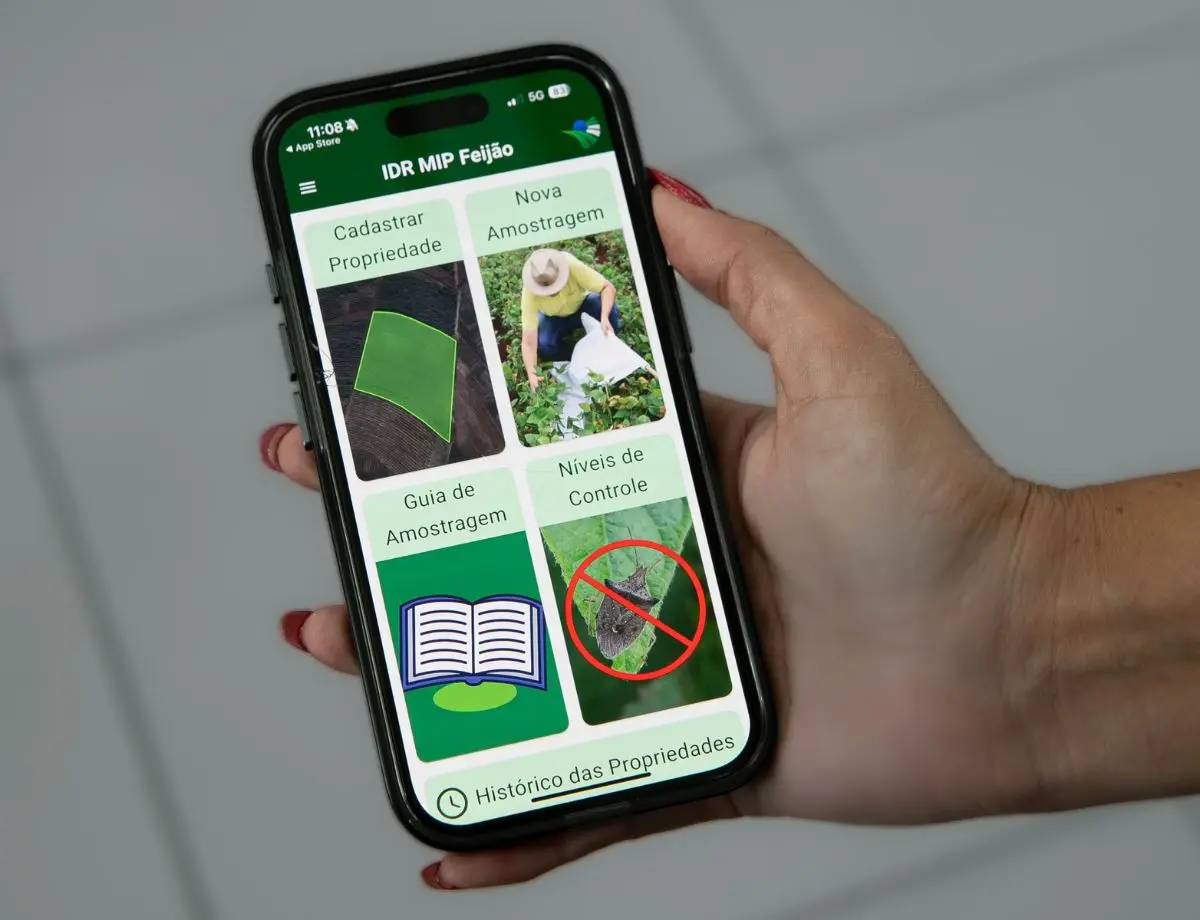 Líder nacional em produção de feijão, Paraná ganha aplicativo para monitorar pragas