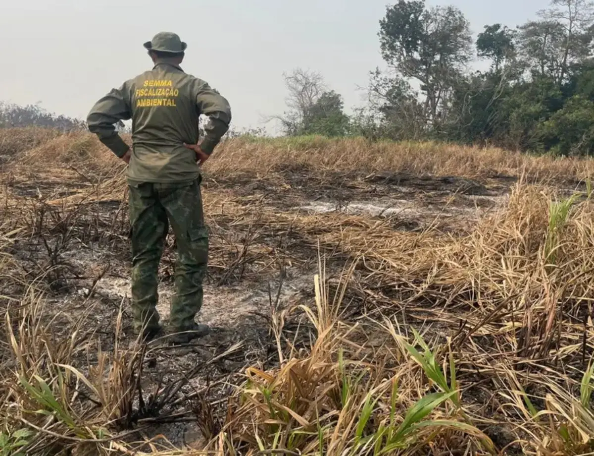 Brasil reduz 70% da área queimada no primeiro trimestre