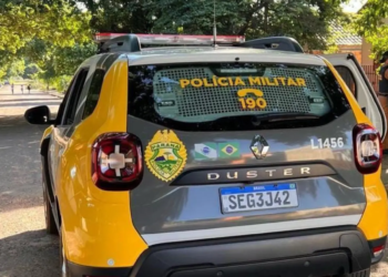 Mulher é atacada por pitbull dentro de casa e marido mata o animal em Loanda