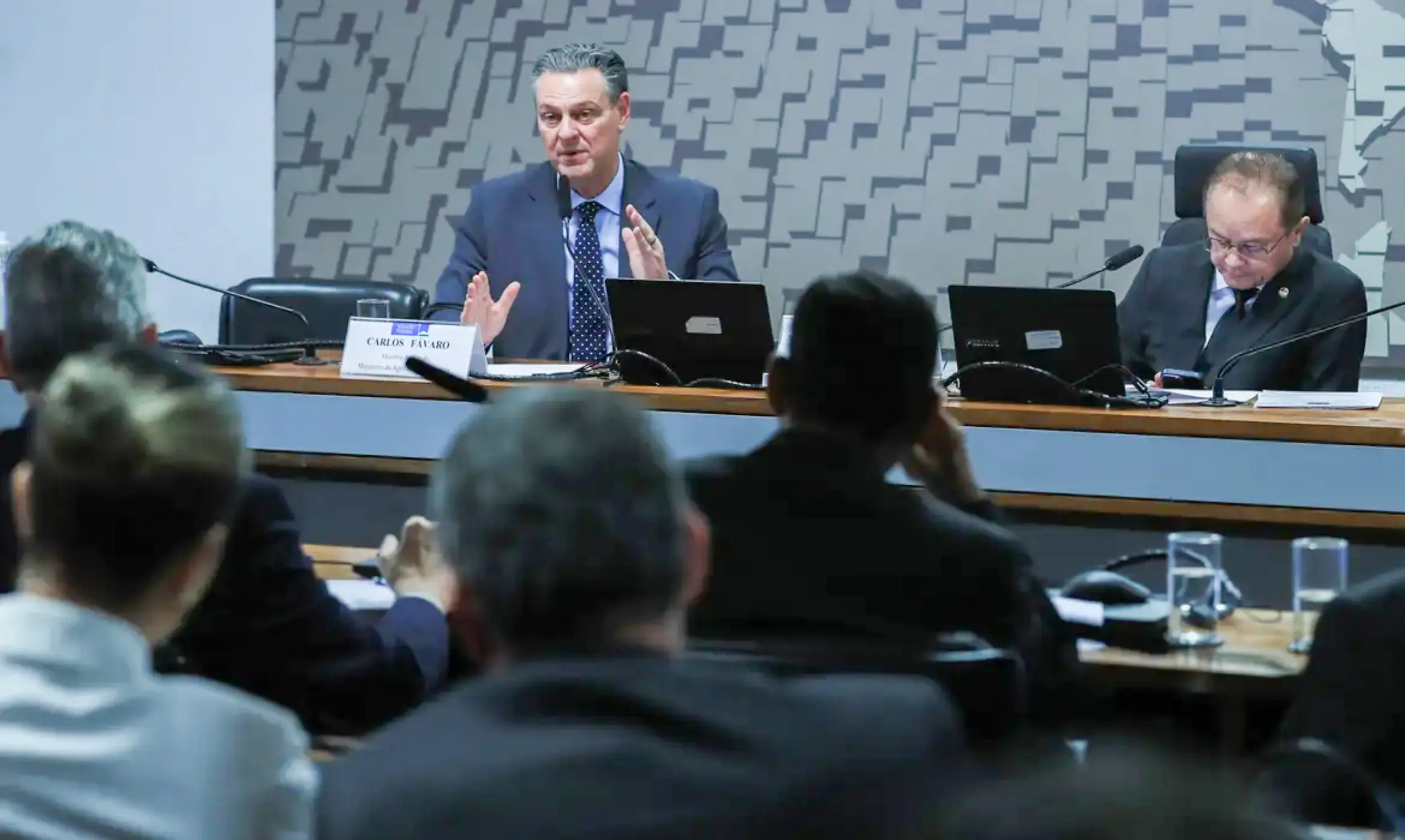 Ministério anuncia que foco de gripe aviária está contido