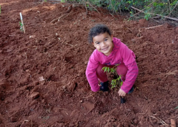 Educação ambiental desde a infância mobiliza escolas de Planaltina do Paraná