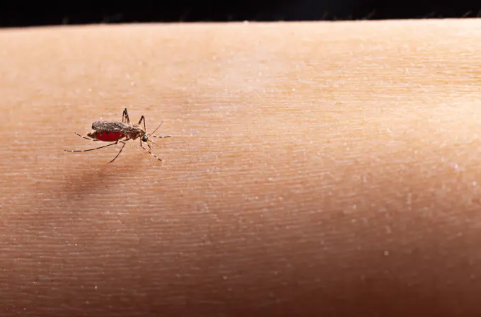 Entenda como o monitoramento de águas residuais pode ajudar a controlar a epidemia