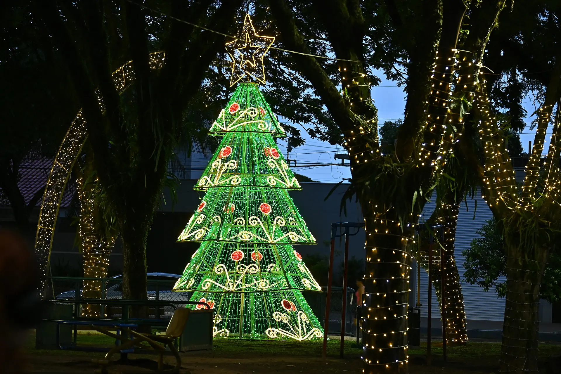 Prefeitura prepara projeto de decoração natalina e avalia importância de investimentos para economia