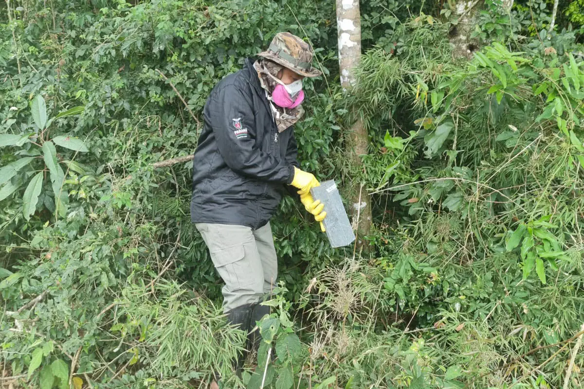 Reforçada vigilância e prevenção de agravos ligados a animais